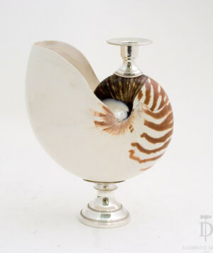 nautilus_tigrato