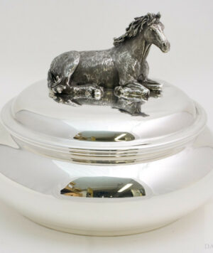 scatola_cavallo