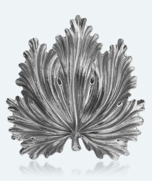 Foglia-ACANTO_0