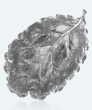 Foglia-Quercia