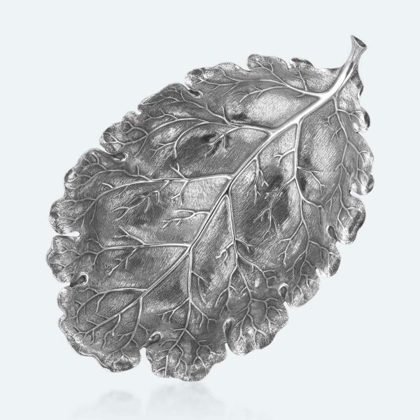 Foglia-Quercia