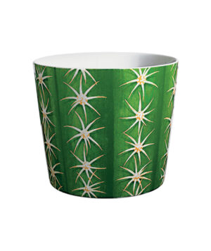21-11-Cactus-cachepot-large