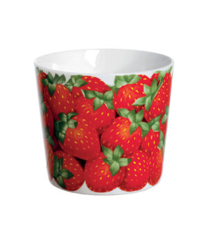 21-17-Fragole-cachepot-large-ridotto1