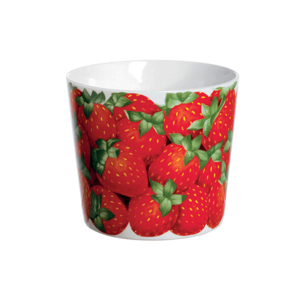 21-17-Fragole-cachepot-large-ridotto1