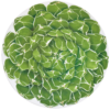 chop-front-cactus-taitu-milano-fine-bone-china