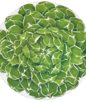 chop-front-cactus-taitu-milano-fine-bone-china