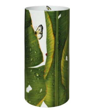 vaso_freedom