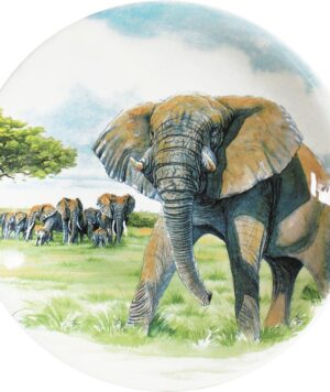 assiette_dessert_l_phant_1