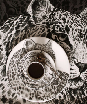 wild-q-leopardo2