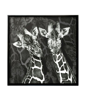 wild_q_giraffe1