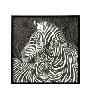 wild_q_zebre1