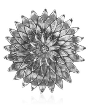 Fiore-Anemone MD