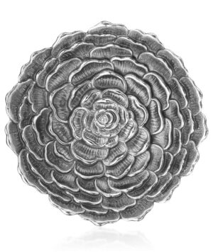 Fiore-Camelia MD