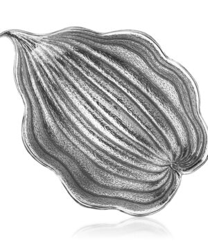 Foglia-Hosta