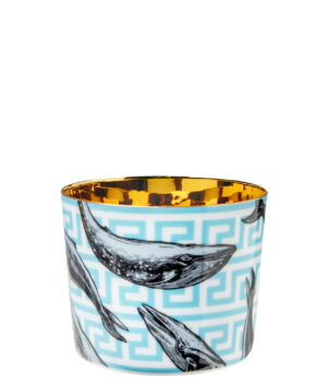 ob1785_61125_becher_the_whales