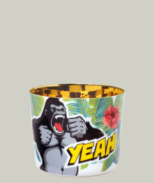 ob1785__60981_becher_marvellous_monkey