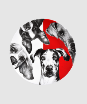14-1-3-dogs-bb-taitu-00-rgb-1