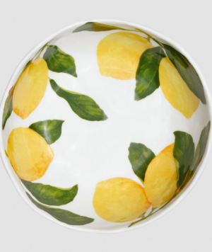 12-9-72_dieta_mediterranea_fruits_LIMONI_medium_bowl_02_BACK_rgb_A