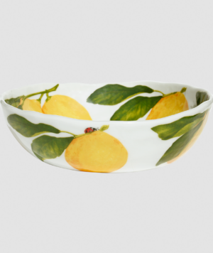 12-9-72_dieta_mediterranea_fruits_LIMONI_medium_bowl_02_front_rgb_A
