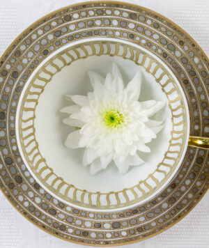 Robert-Haviland-C.-Parlon-manufacture-de-porcelaine-presente-la-collection-Syracuse-29