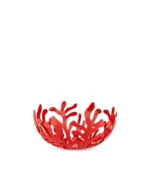 mediterraneo